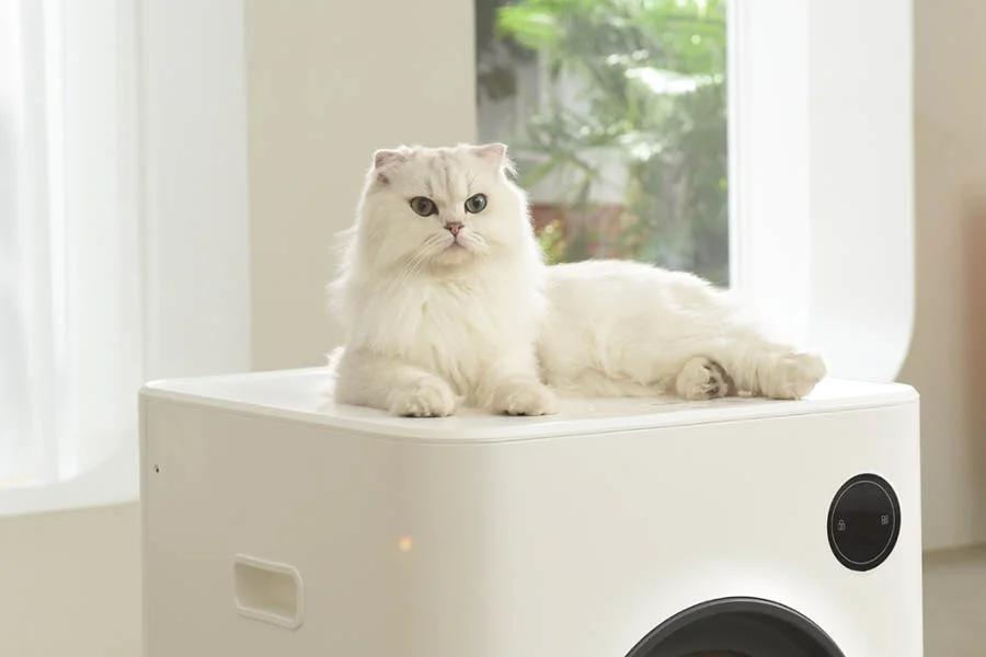 odor free cat box